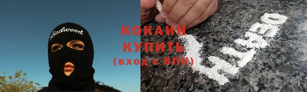 сатива Козловка