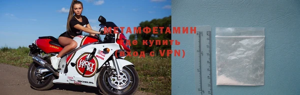 сатива Козловка