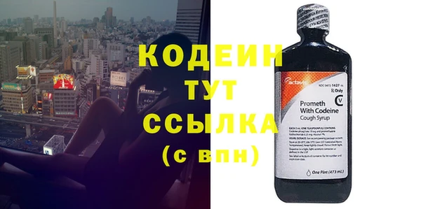 сатива Козловка