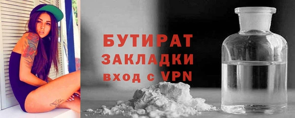 сатива Козловка