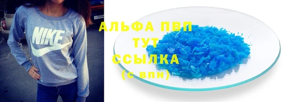 сатива Козловка
