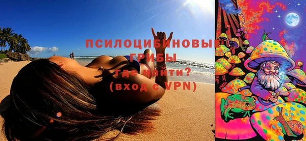 спайс Строитель