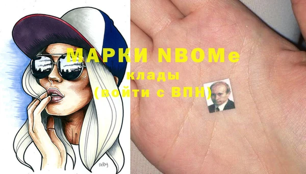 сатива Козловка