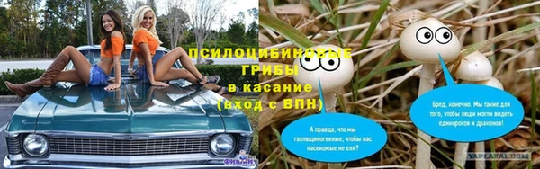 сатива Козловка