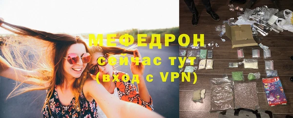 сатива Козловка