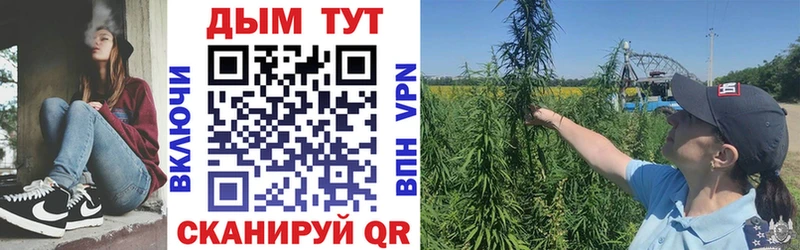 Бошки Шишки MAZAR  Купить закладки  Боровск 